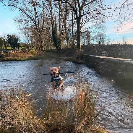 Holiday home Charming Dog-friendly Yorkshire Dales Cottage, *