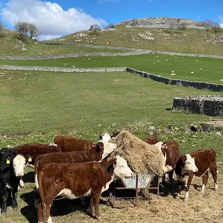 Holiday home Charming Dog-friendly Yorkshire Dales Cottage, Austwick