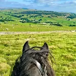 בית נופש Charming Dog-friendly Yorkshire Dales Cottage, *
