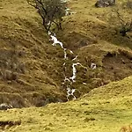 Charming Dog-friendly Yorkshire Dales Cottage, בית נופש *